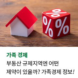 부동산 규제지역엔 어떤 제약이 있을까? 가족경제 정보!